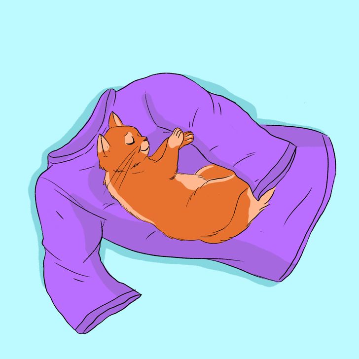 5004145b4b833ebdf9e7acd4c2