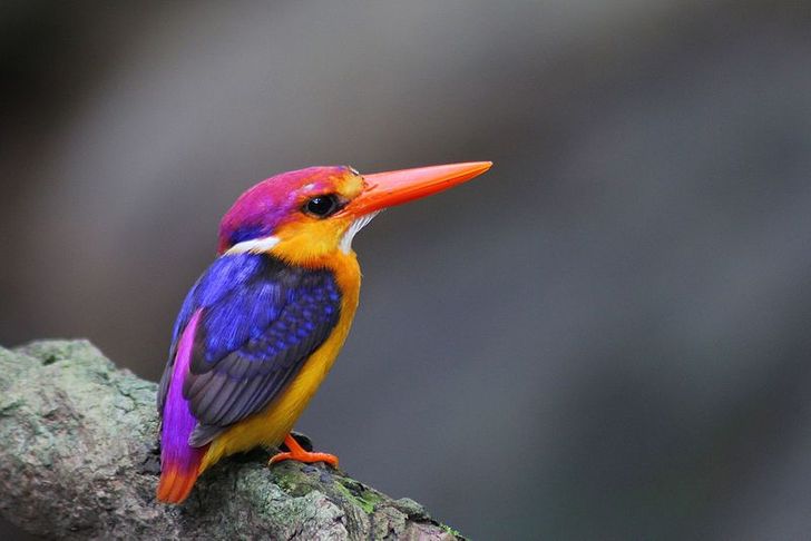 500b5e592baa0e7ec56be4b661