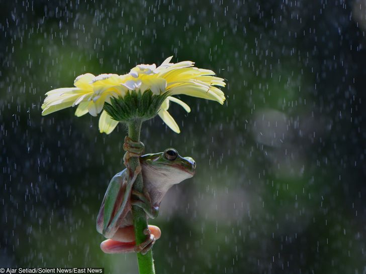 50175f5609acbc5f48d7178a6f