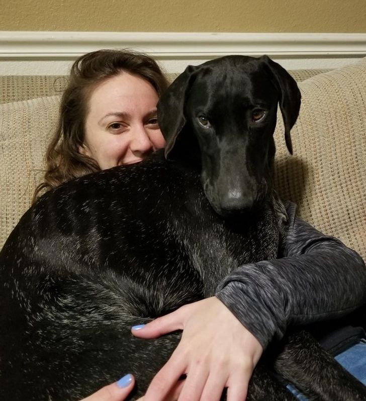 50204b5bb39ed78f2d7e1bb8aa 50204b5bb39ed78f2d7e1bb8aa