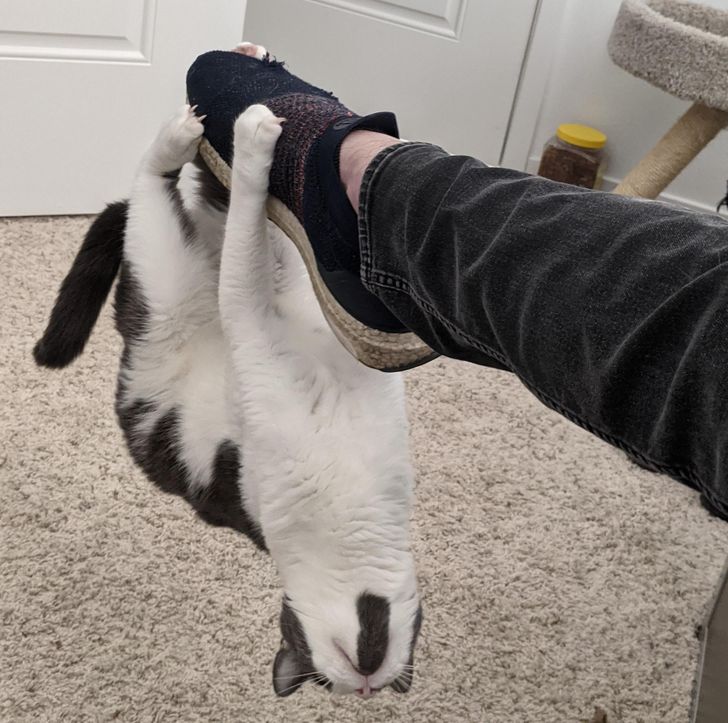 5024905cb1861cb2f911d2cda3