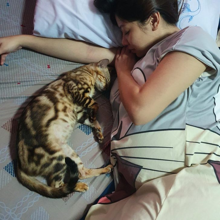 5027a458da82d494fe4bfff318