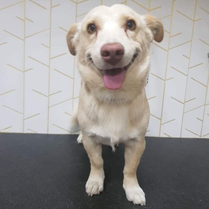 502eb45fc1a9818604fd571627