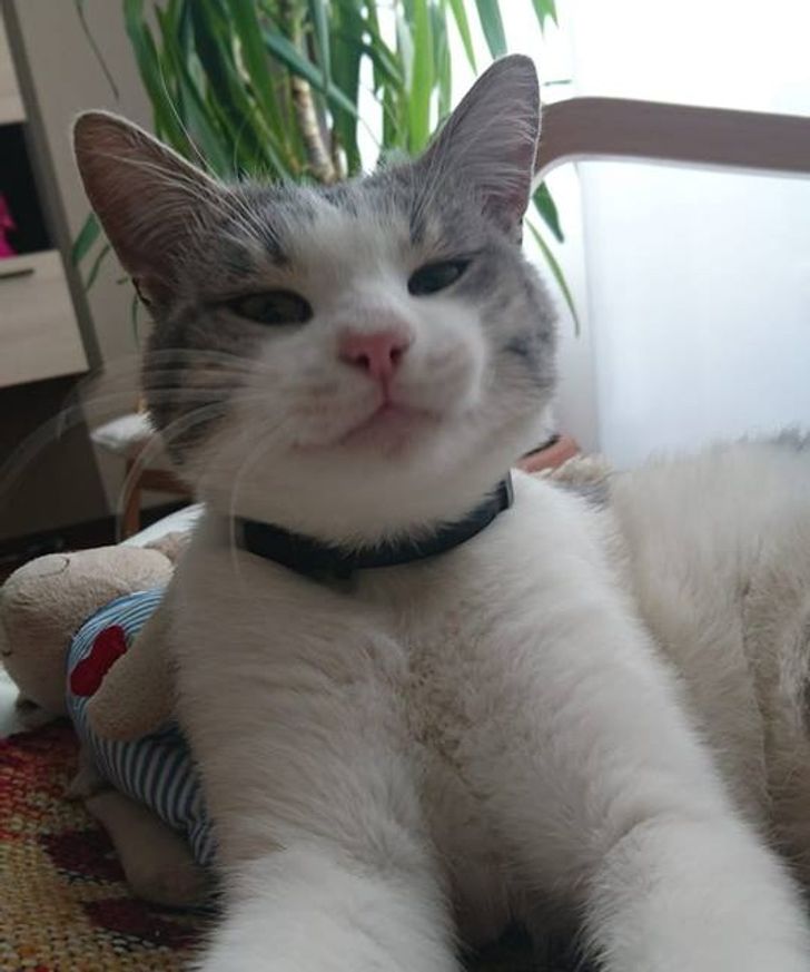 50316d5118b00d21d16b2c5929