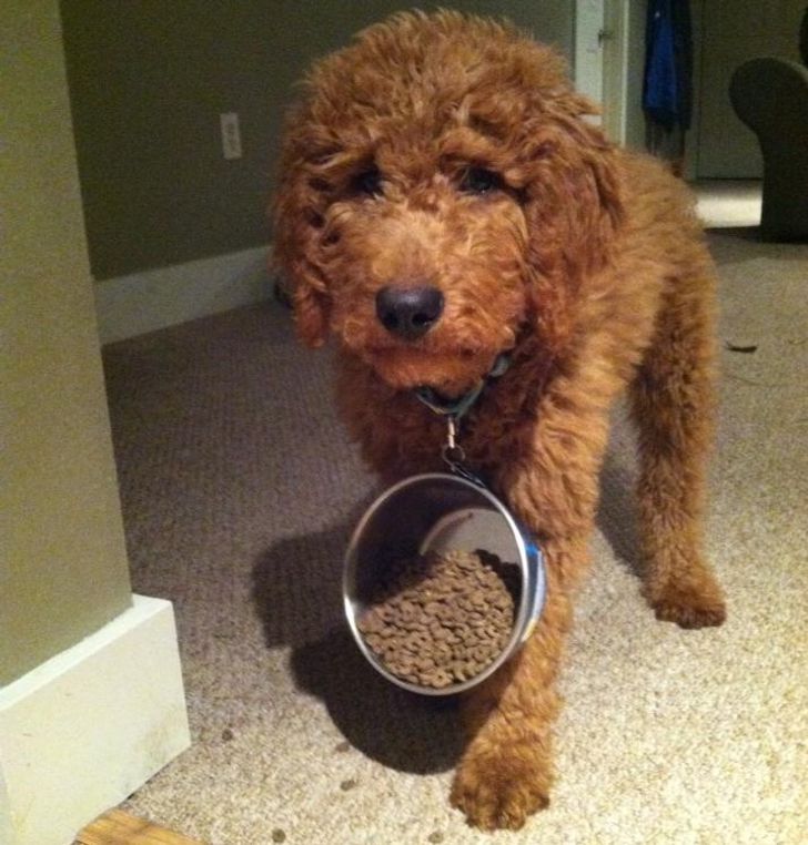 50370856c2810d85edf509662a