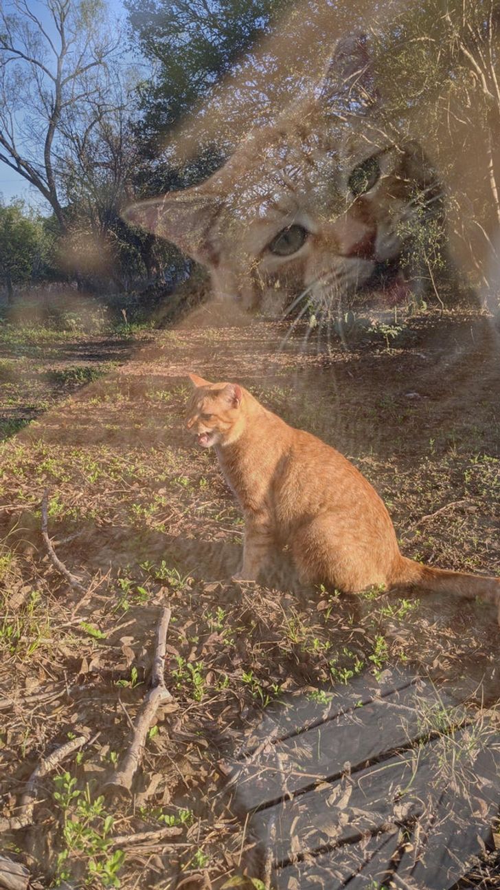 50394b5da89d9e307acb02d17b