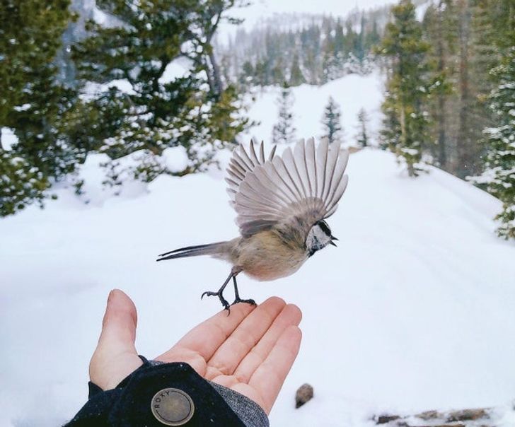 503e5f5d97b1758405b4e575a3