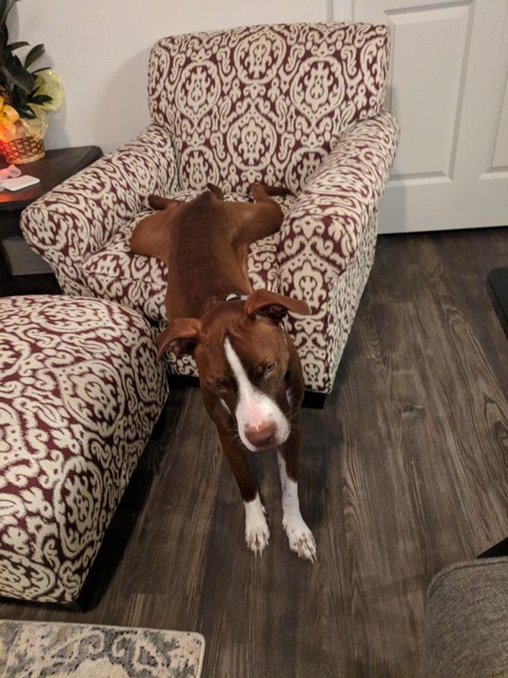 5045b1560fa8a3bba998d9a630