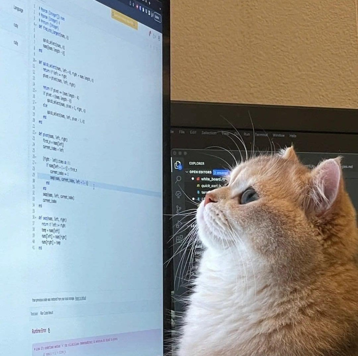 504b6b5c52892f04db3c5e9967