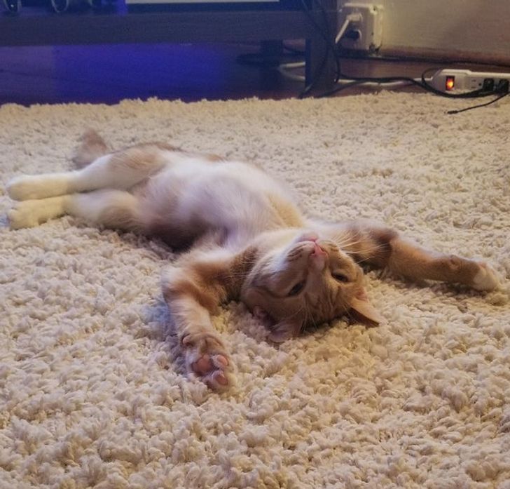 5057205d41a420fe45b5fe97c5