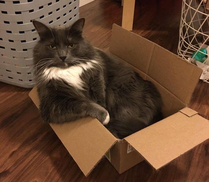 505b8e5a1f81241162f3b98f39