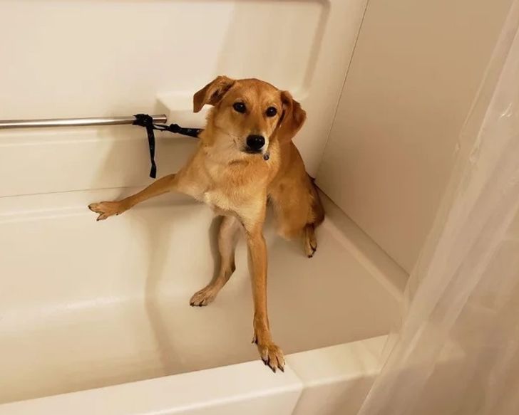 506ca7550fb42af591a13b2d81