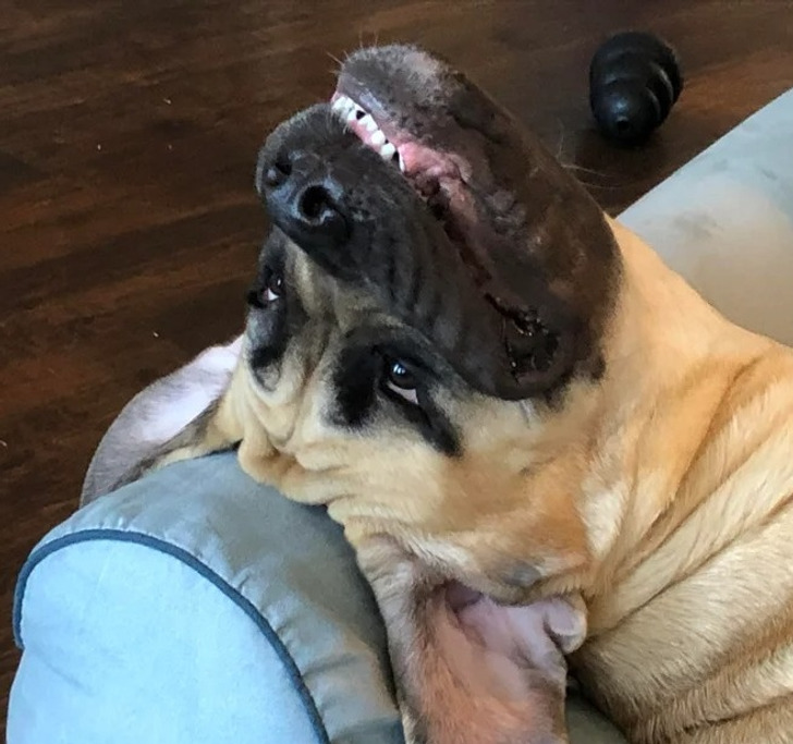 50877d55c8a7230c56b7331f71