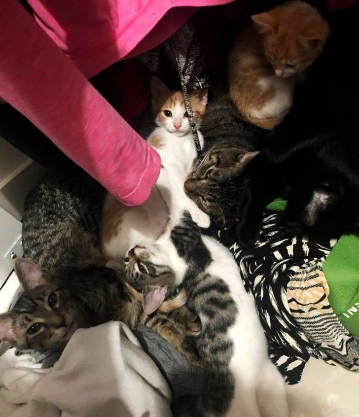 50922e58edbe93026aba5dccdb