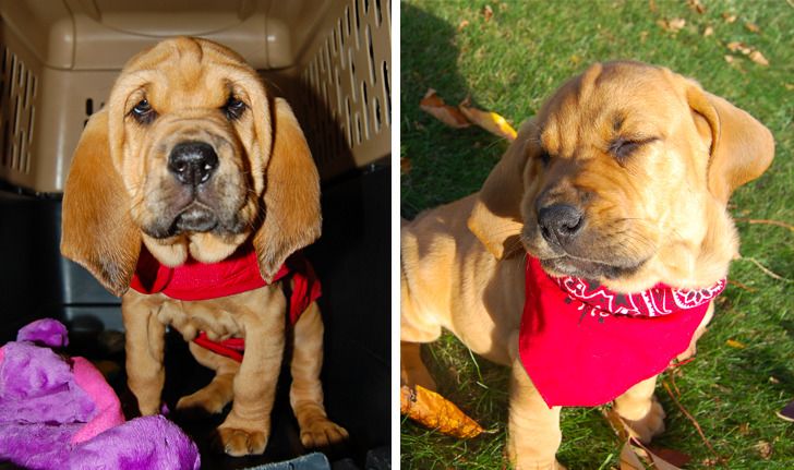 5097565733b9e2952d5730b430