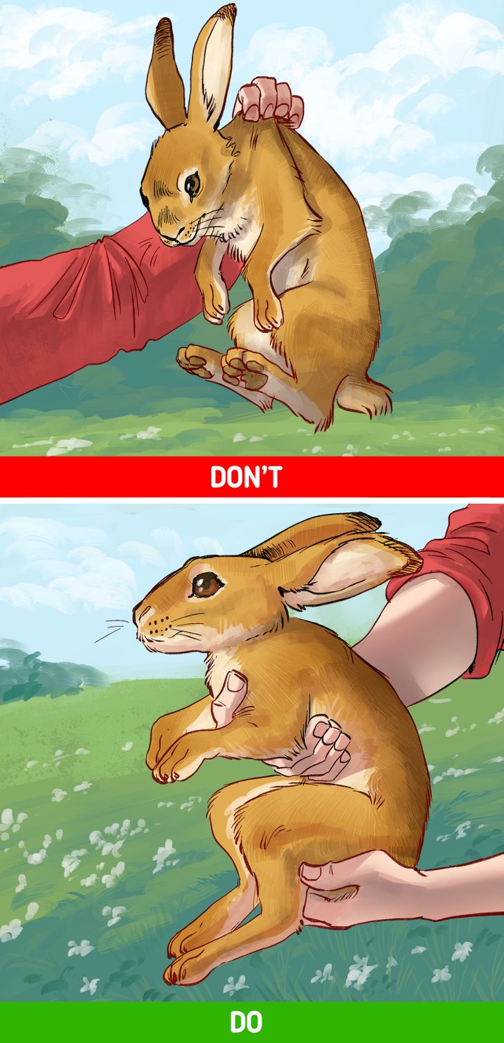 5098d3517eb811190c29c73b92