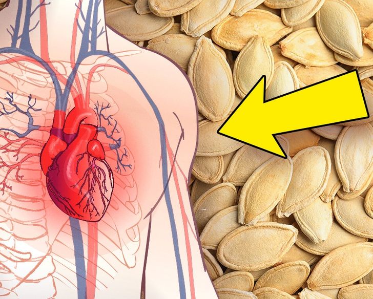 509b995ab8a1262b724c959e3c