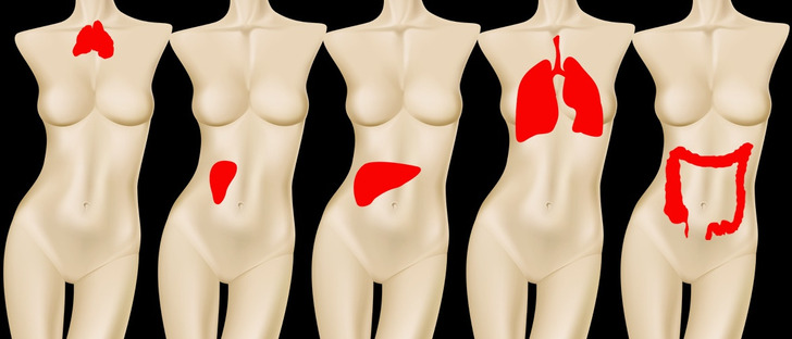 509dc559a6b36c7968cea6e009