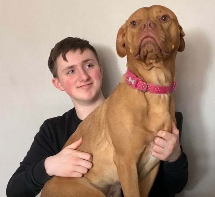 50a966587fa50803c3fe74a53f