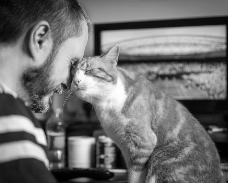 50b75d5e2b912e19abb152f81c