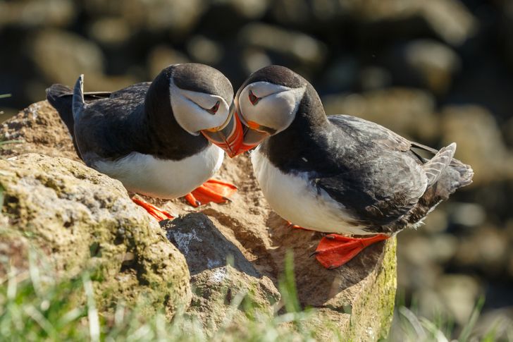 50b9425f848007a293a7b4b399