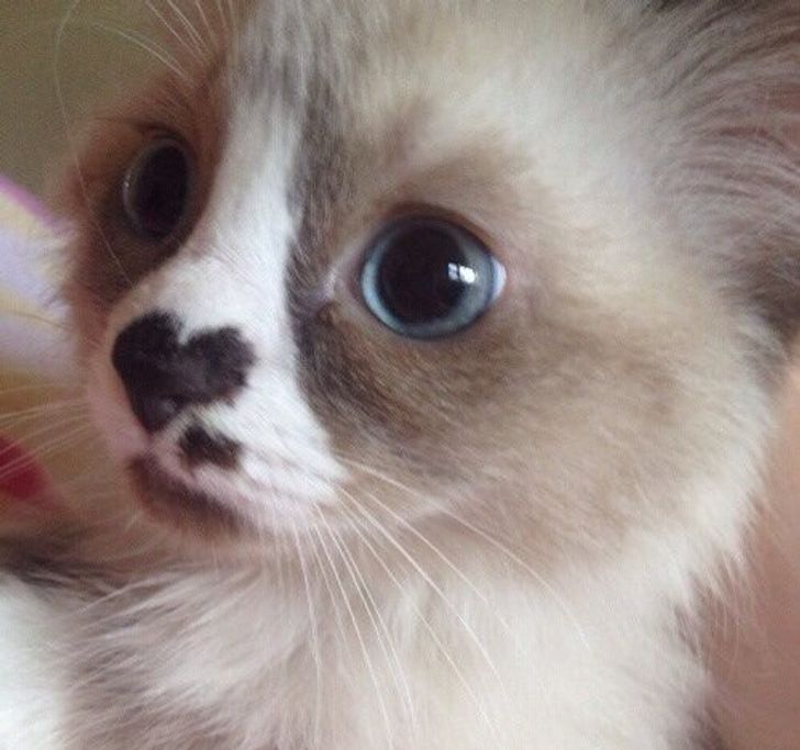 50b9b454809e9b906f17d952c3