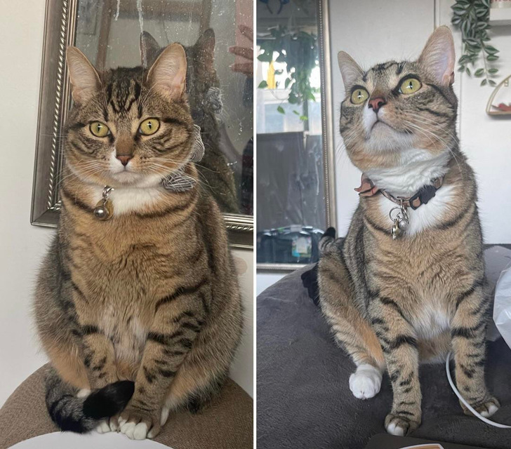 50ba4a59bf913703c0af99a957