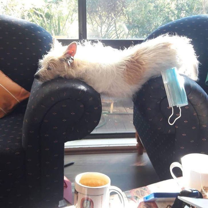 50c13d5bcbba50cda1c2e33609