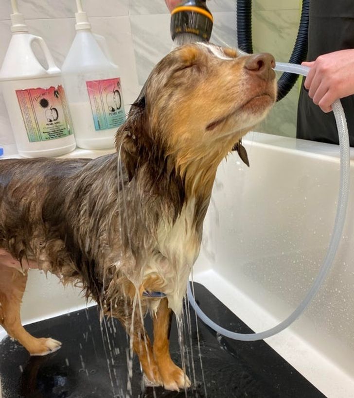 50d9bb57b79b1d7ece7b45860c