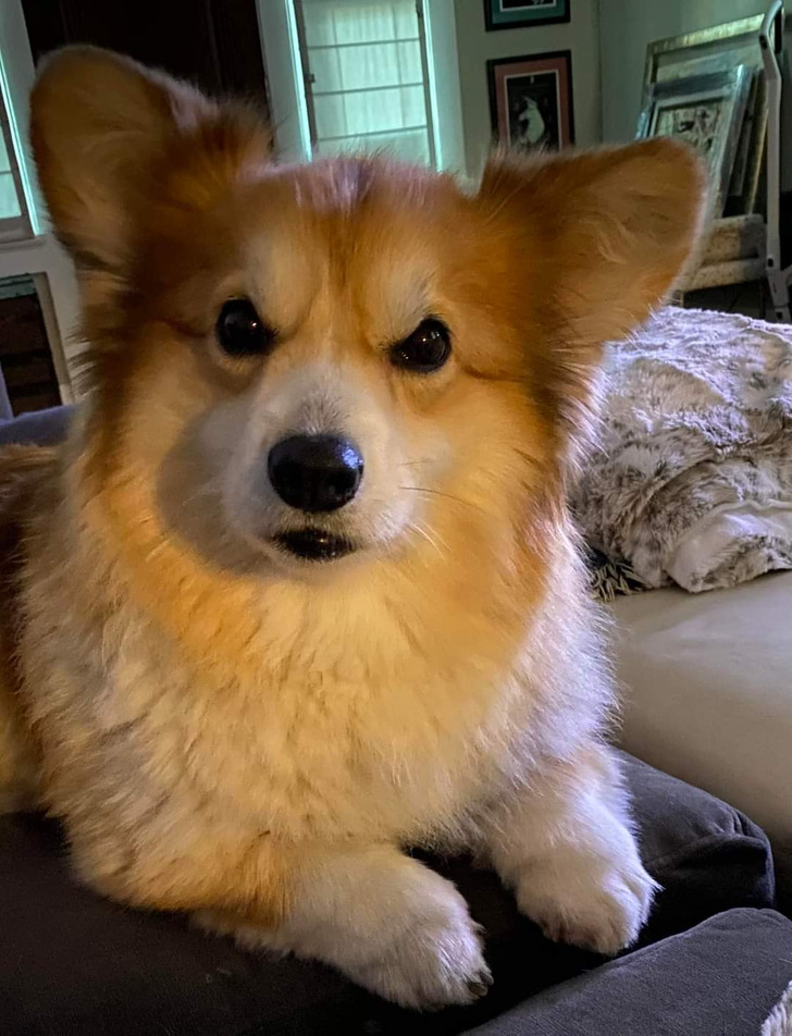 50e1475b93a4140814aa241291