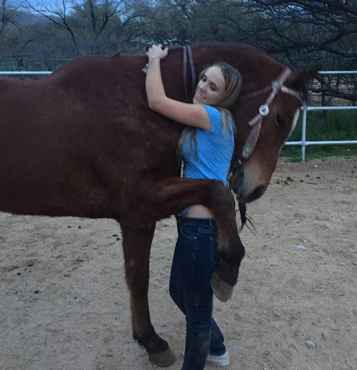 50e5ff511c9c3d015baa284843