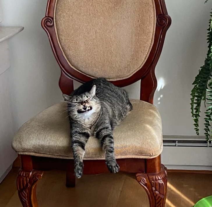 50e9125606bff324fea5804fc5