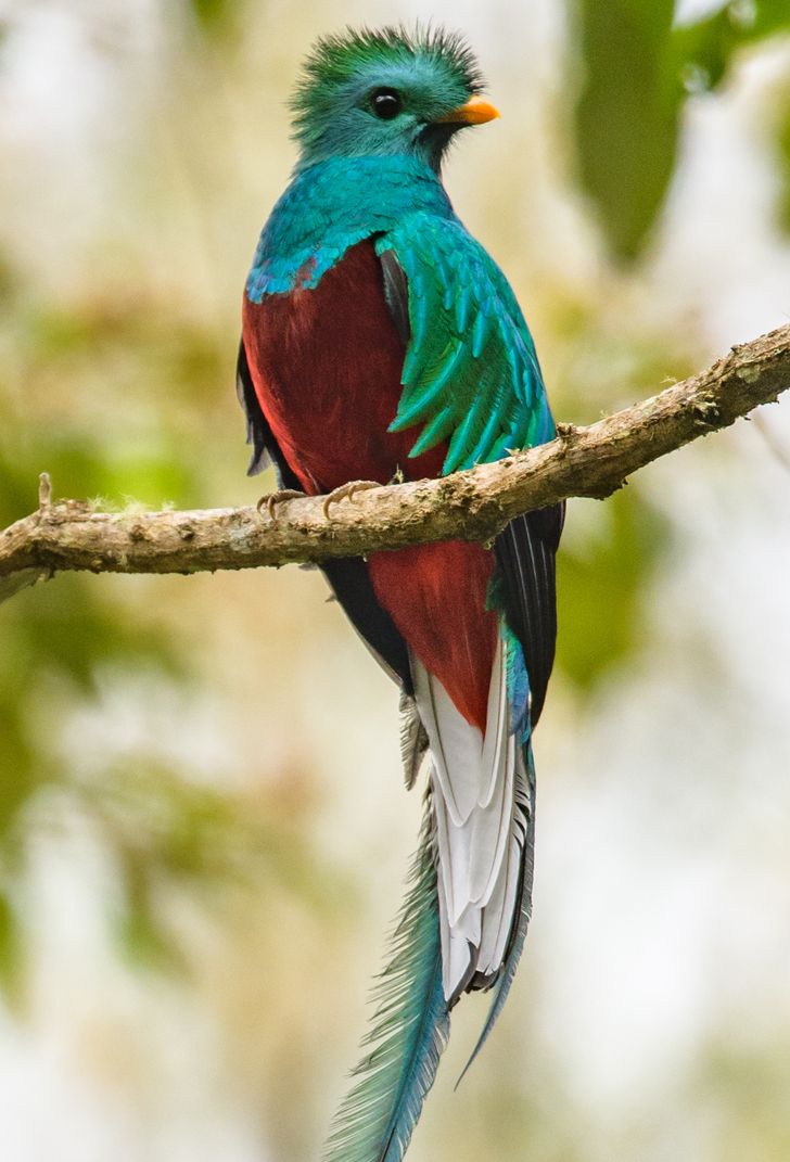 50f288544b933f7bf031ef5d11