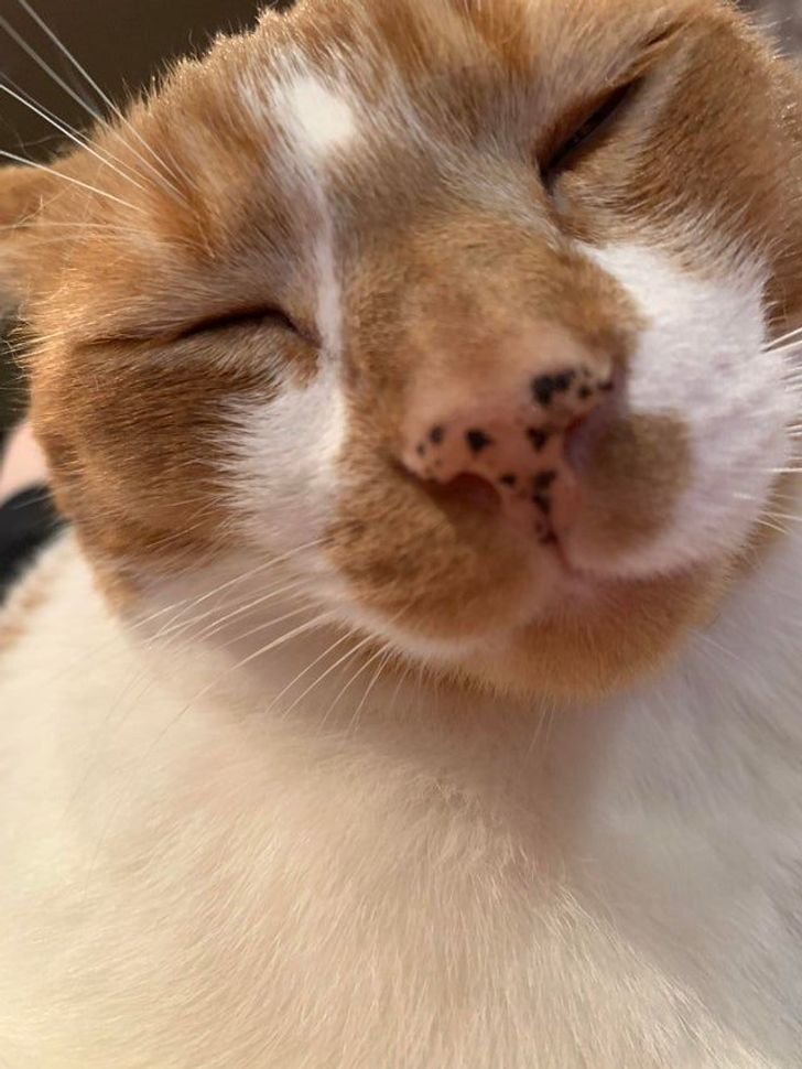 50f4e2541e8ce8ed3262d9e2a3