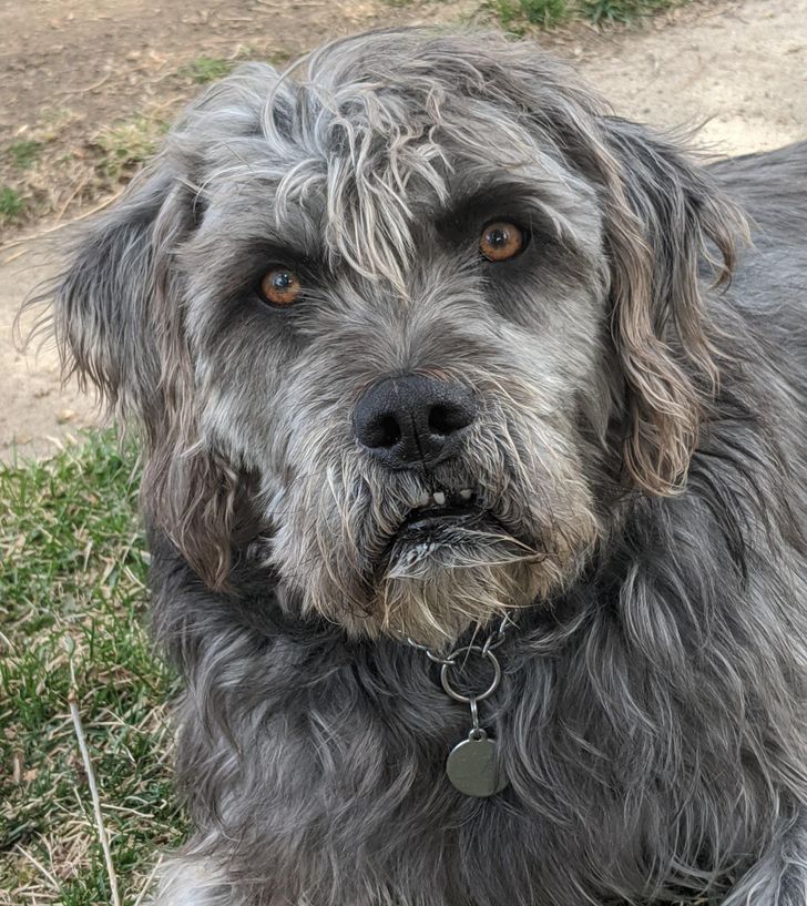 50fa9450939d6e2a19b4fde827