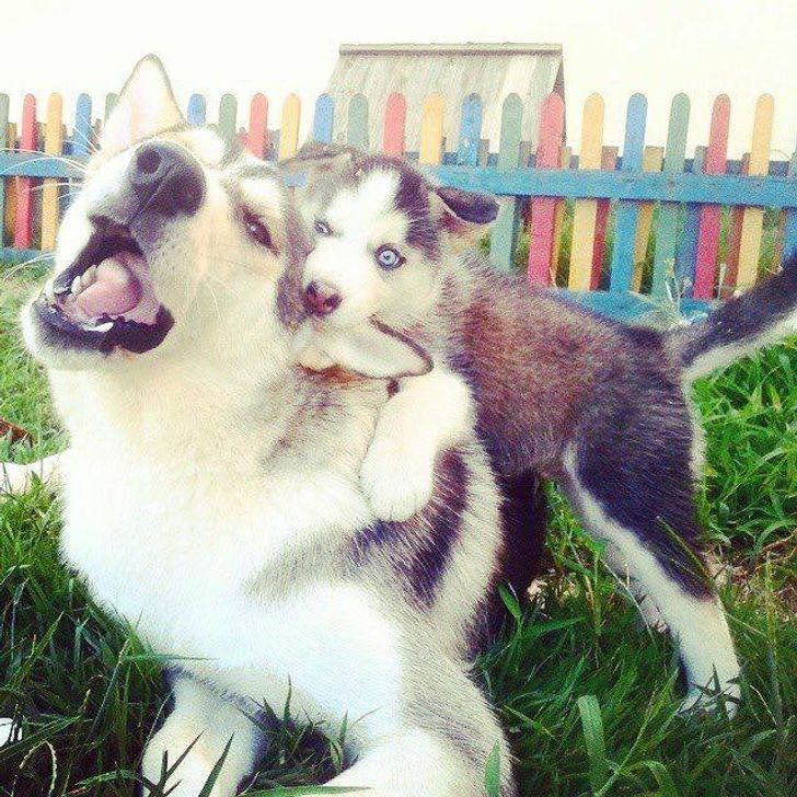 510e165062ba9e95cd33ae8e51