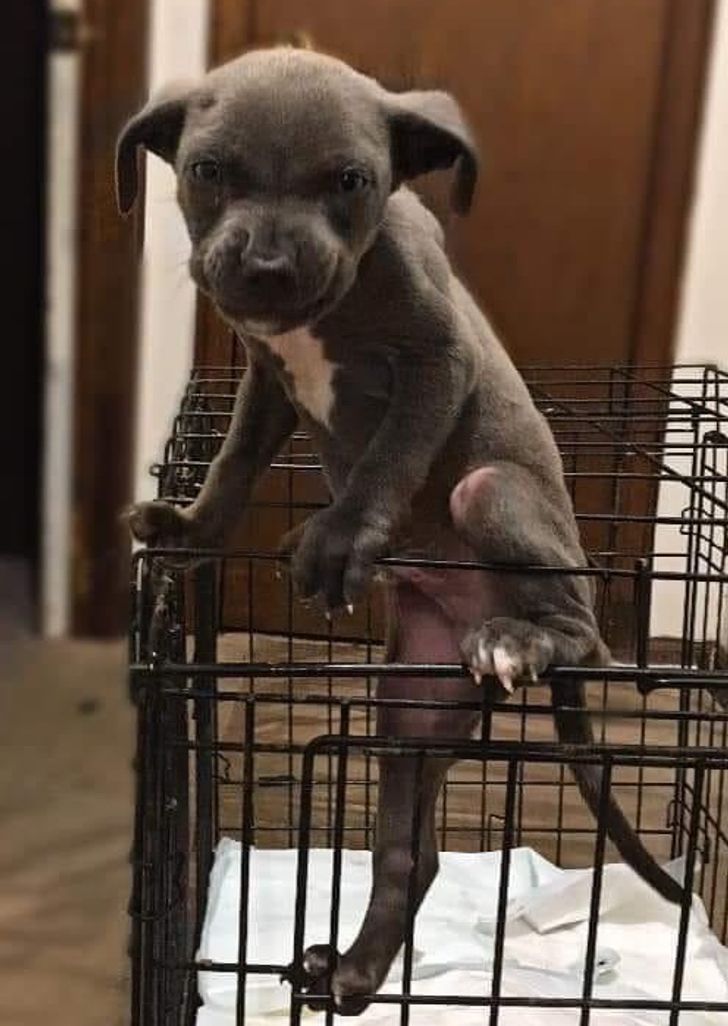 5121035f87a642c242217b99ea