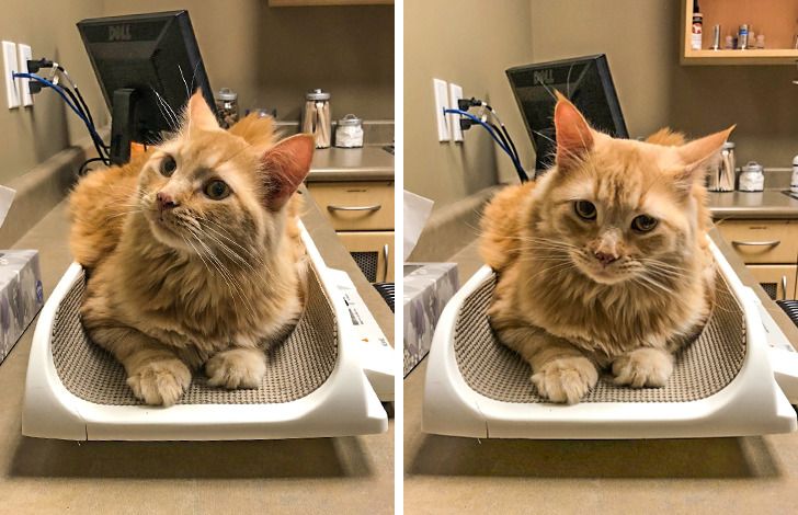 5130905922b63f72b99f887372