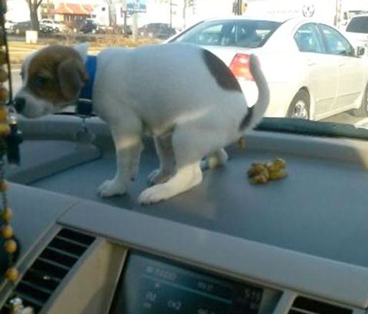 51330a584d8c9165c6bfc0a9b7