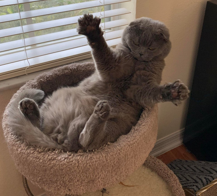 513be856a0ad20bc53b12896b0