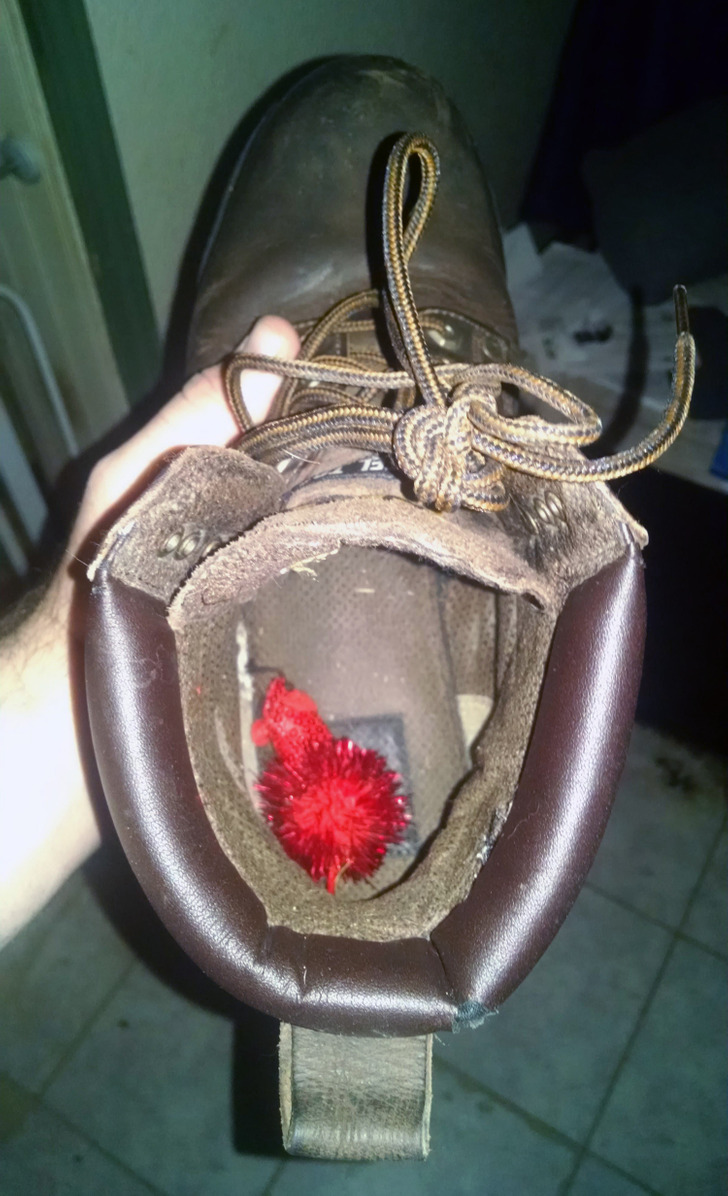 51413b50d498ea2b21a1f3393f