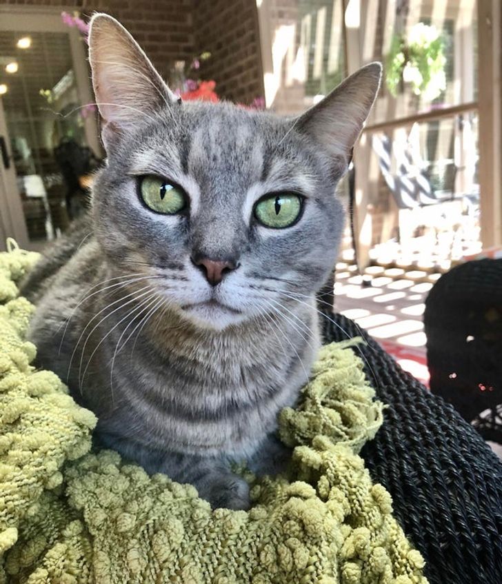 5141c85749a4f31a250de29940