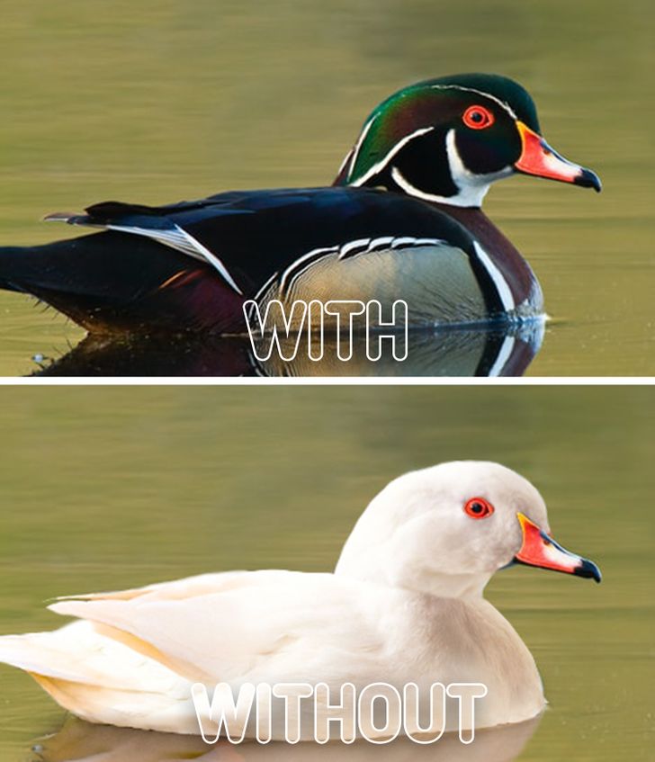 514209597e82fd5b107896e8ce