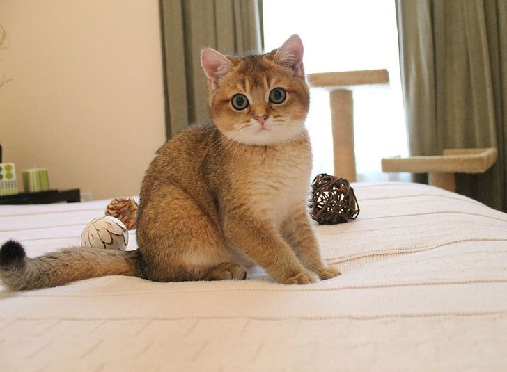 514528593db84cc1d9eb7e4a01