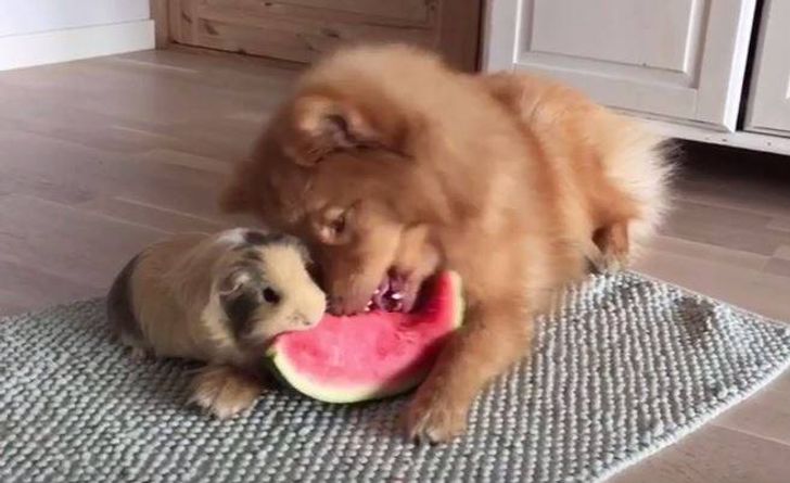 5145a35b5c970f0b84bde3a7a1