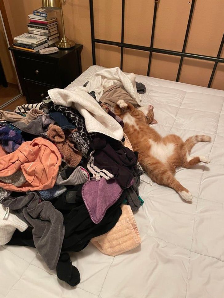 51518853d0a3e0177ad3b564bd