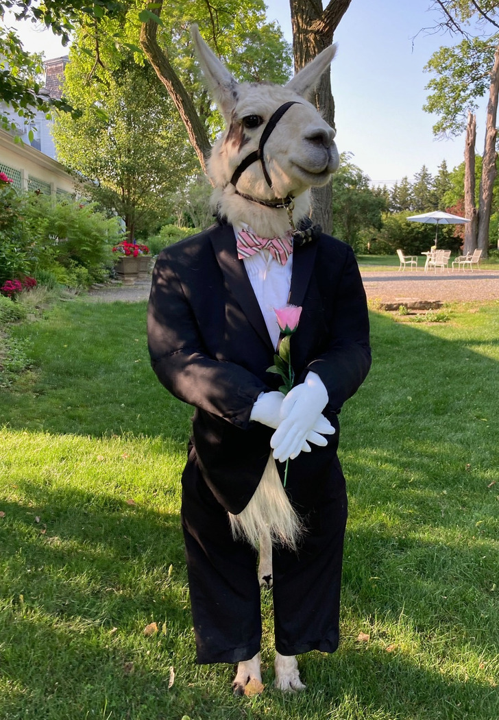 5153215f1c8f0b0d0dd80d835a