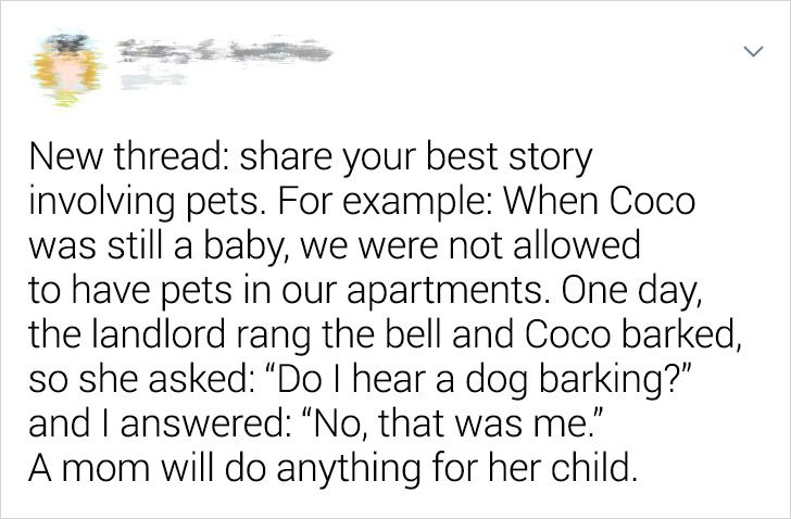 515b1f5ded84c5060186218076