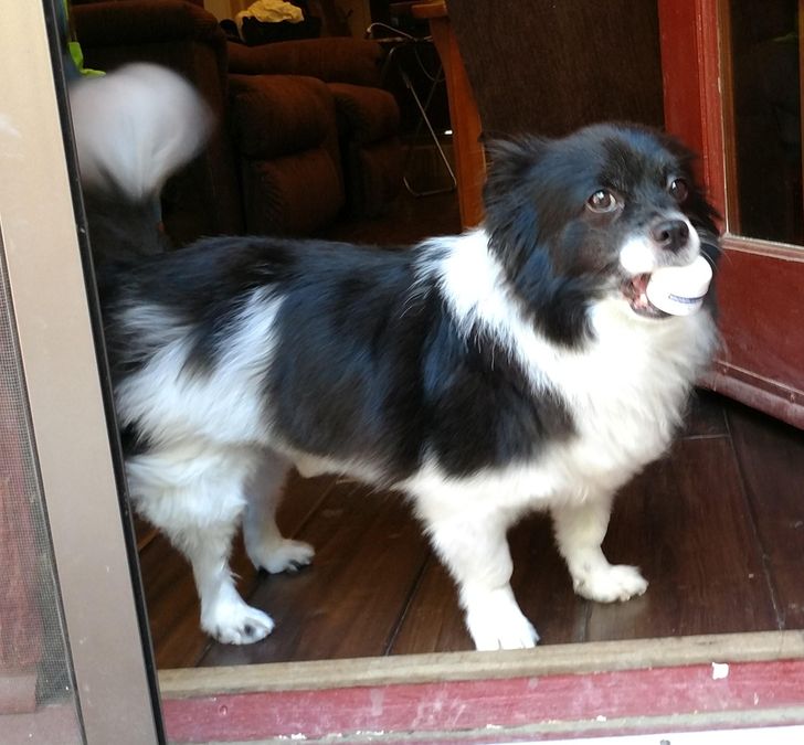 5161dc55c58bb5b3b8c5e595d8