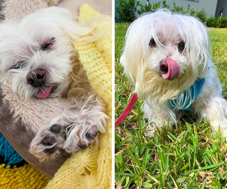 5161e05f17993746f042afe6e8